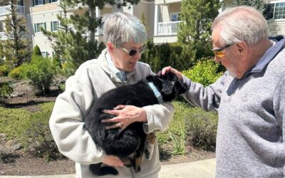 Exploring Various Senior Living Options